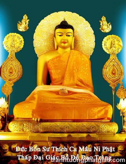 Bổn Sư Thích Ca Mâu Ni Phật (175)